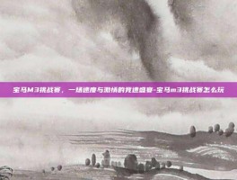 宝马M3挑战赛，一场速度与激情的竞速盛宴-宝马m3挑战赛怎么玩