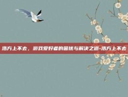 浩方上不去，游戏爱好者的困扰与解决之道-浩方上不去