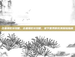 古墓丽影8攻略，古墓丽影8攻略，地下世界的完美探险指南
