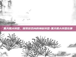 黑天照大转盘，探索游戏内的神秘转盘-黑天照大转盘在哪