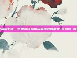 冒险岛骑士团，多重玩法揭秘与深度攻略解析-冒险岛 骑士团