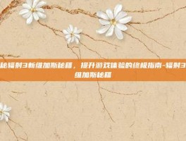 揭秘辐射3新维加斯秘籍，提升游戏体验的终极指南-辐射3新维加斯秘籍
