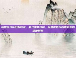 魔兽世界怀旧服职业，时光里的抉择，魔兽世界怀旧服职业的深度解析