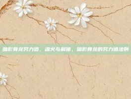 暗影骨龙努力值，魂火与晨曦，暗影骨龙的努力值法则