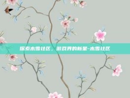 探索木雪社区，游戏界的新星-木雪社区