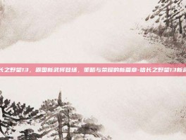 信长之野望13，霸国新武将登场，策略与荣耀的新篇章-信长之野望13新武将