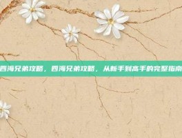 四海兄弟攻略，四海兄弟攻略，从新手到高手的完整指南