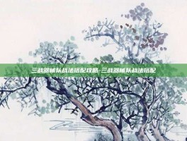 三战器械队战法搭配攻略-三战器械队战法搭配