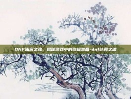 DNF冰翼之魂，揭秘游戏中的终极装备-dnf冰翼之魂