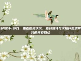 哈利波特4游戏，重返霍格沃茨，哈利波特与火焰杯游戏带给我的青春回忆