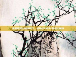 掌握奴剑士加点技巧，提升战斗效率-奴剑士加点