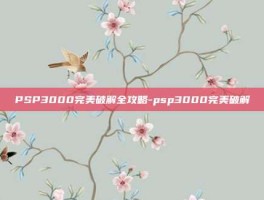 PSP3000完美破解全攻略-psp3000完美破解