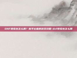 DNF傻瓜包怎么用？新手必看的游戏攻略-dnf傻瓜包怎么用