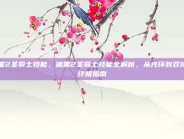 暗黑2圣骑士技能，暗黑2圣骑士技能全解析，从光环到双修的终极指南
