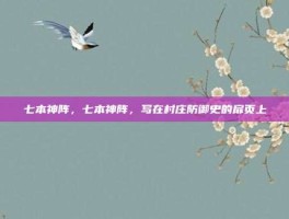 七本神阵，七本神阵，写在村庄防御史的扉页上
