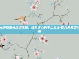 卧龙吟魏国试练塔攻略，提升实力的不二之选-卧龙吟魏国试练塔