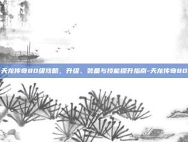 天龙传奇80级攻略，升级、装备与技能提升指南-天龙传奇80
