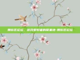 舞街区论坛，游戏爱好者的聚集地-舞街区论坛