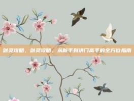 剑灵攻略，剑灵攻略，从新手到洪门高手的全方位指南