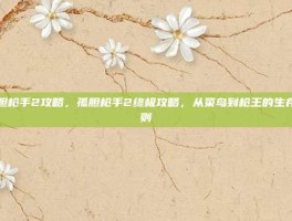 孤胆枪手2攻略，孤胆枪手2终极攻略，从菜鸟到枪王的生存法则