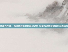 乌龟快递大作战，从湖南到东北的奇幻之旅-乌龟从湖南快递到东北冻成乌龟干