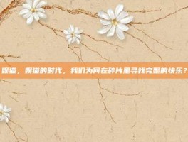 娱猫，娱猫的时代，我们为何在碎片里寻找完整的快乐？