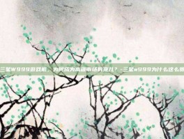 三星W999游戏机，为何成为高端市场的宠儿？-三星w999为什么这么贵