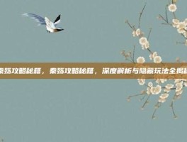 秦殇攻略秘籍，秦殇攻略秘籍，深度解析与隐藏玩法全揭秘