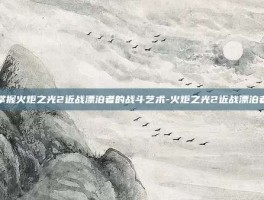 掌握火炬之光2近战漂泊者的战斗艺术-火炬之光2近战漂泊者