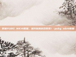 掌握PUBG MK14数据，提升你的游戏表现！-pubg mk14数据