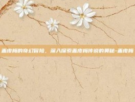 盖皮梅的奇幻冒险，深入探索盖皮梅传说的奥秘-盖皮梅