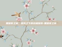 黑曜夜之翼，星辰之下的终极探索-黑曜夜之翼