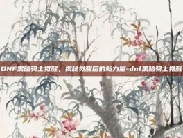 DNF黑暗骑士觉醒，揭秘觉醒后的新力量-dnf黑暗骑士觉醒