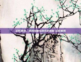 幻影疾风，游戏攻略与技巧全解析-幻影疾风