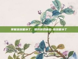 掌握泡泡堂补丁，提升游戏体验-泡泡堂补丁