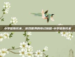 小学徒斯托米，游戏世界的奇幻旅程-小学徒斯托米