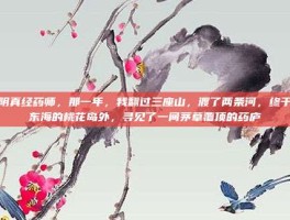 九阴真经药师，那一年，我翻过三座山，渡了两条河，终于在东海的桃花岛外，寻见了一间茅草覆顶的药庐