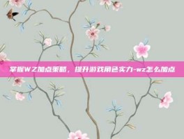 掌握WZ加点策略，提升游戏角色实力-wz怎么加点