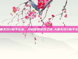大唐无双2新手礼包，开启你的游戏之旅-大唐无双2新手礼包