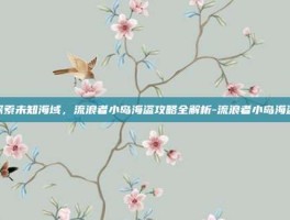 探索未知海域，流浪者小岛海盗攻略全解析-流浪者小岛海盗