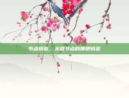 节点钥匙，关键节点的那把钥匙
