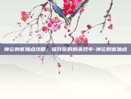 神泣刺客加点攻略，提升你的刺杀效率-神泣刺客加点