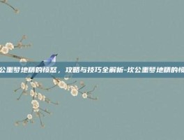坎公噩梦地精的愤怒，攻略与技巧全解析-坎公噩梦地精的愤怒