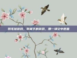 羽毛球游戏，羽翼下的游戏，那一场空中芭蕾