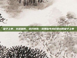 皇子上单，长枪破阵，旗开得胜—致那些年我们爱过的皇子上单