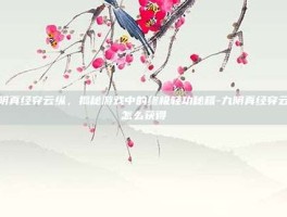 九阴真经穿云纵，揭秘游戏中的终极轻功秘籍-九阴真经穿云纵怎么获得