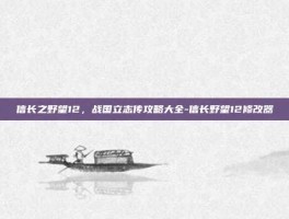 信长之野望12，战国立志传攻略大全-信长野望12修改器