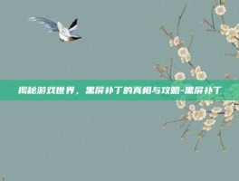 揭秘游戏世界，黑屏补丁的真相与攻略-黑屏补丁