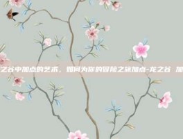 龙之谷中加点的艺术，如何为你的冒险之旅加点-龙之谷 加点