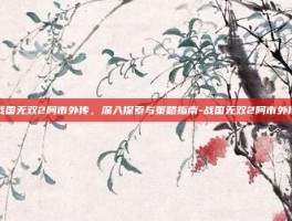 战国无双2阿市外传，深入探索与策略指南-战国无双2阿市外传